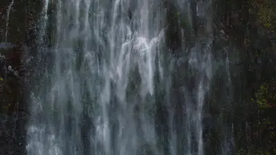 Forest Falls 14 | Church Motion Graphics