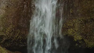 Forest Falls 09 | Church Motion Graphics