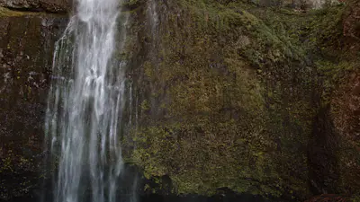 Forest Falls 10 | Church Motion Graphics