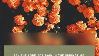 Ask The Lord For Rain Spring Flowers Zechariah 10:1 Story | Church ...